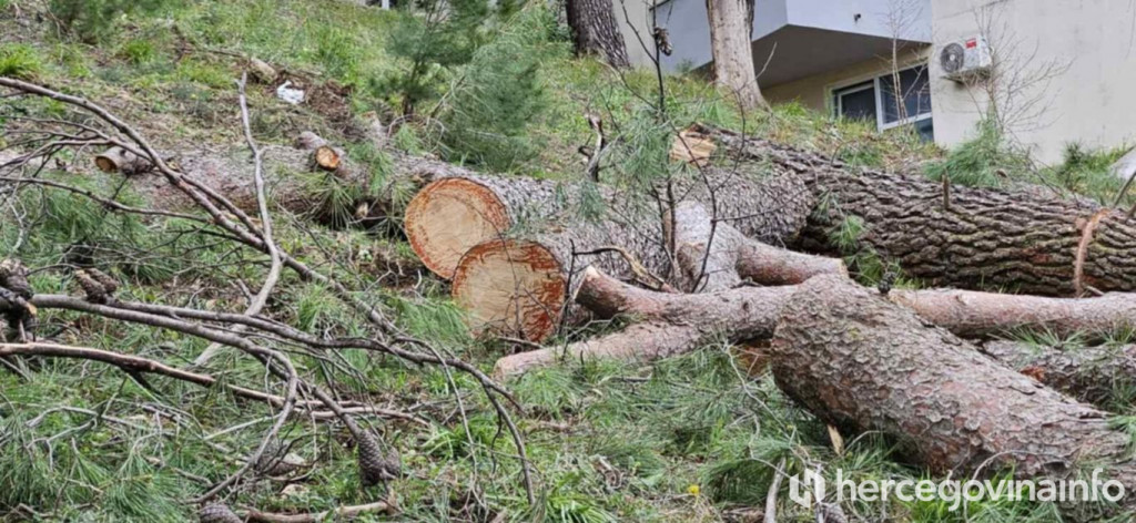 Uređenje park šume kod Studentskog centra Mostar