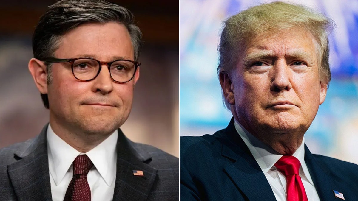 Rascjep Mikea Johnsona i Donalda Trumpa.