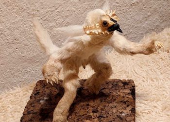 Slobodna Dalmacija – Garantiramo, ovako nešto niste vidjeli! Hvaranin spaja ostatke životinja i od njih radi umjetnost ‘tešku’ tisuće eura