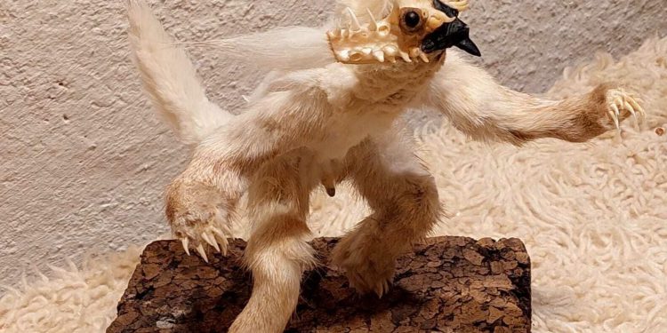 Slobodna Dalmacija – Garantiramo, ovako nešto niste vidjeli! Hvaranin spaja ostatke životinja i od njih radi umjetnost ‘tešku’ tisuće eura