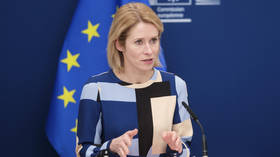 'Neke države' protive korištenju smrznute ruske imovine - vrhunski diplomat EU -a