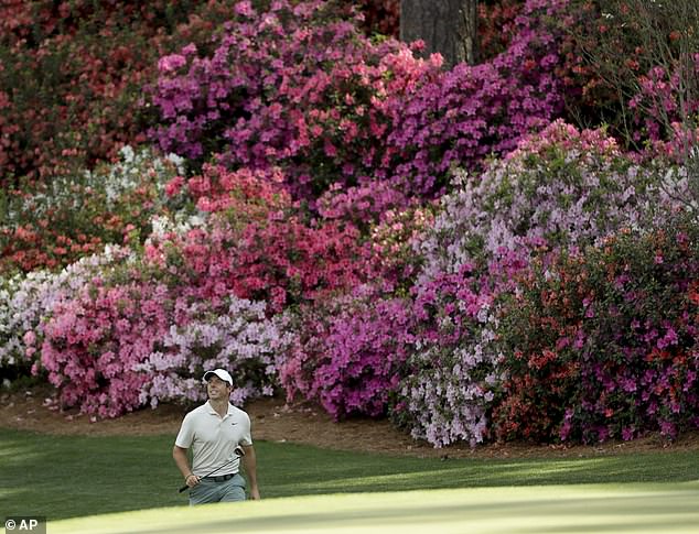 Za sada, McIlroy i Majstori ostaju jednostrana vrsta ljubavi i neodlučna zagonetka