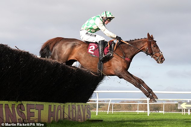 Celebre d'Allen, na slici krajem prošle godine, srušio se u subotu ubrzo nakon što je povučen