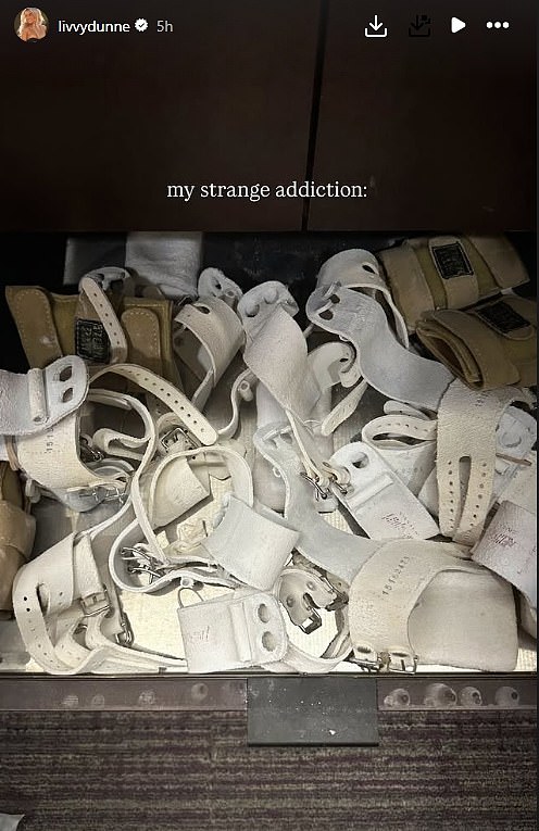 Također je pokazala svoje impresivne, ako ne i bizarne količine šankova zaprepaštenih u njenom ormariću