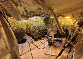 AKCIJA ‘KOKO’ u SARAJEVU Otkrivene dvije laboratorije, zapljena vrijedna više od milijun KM