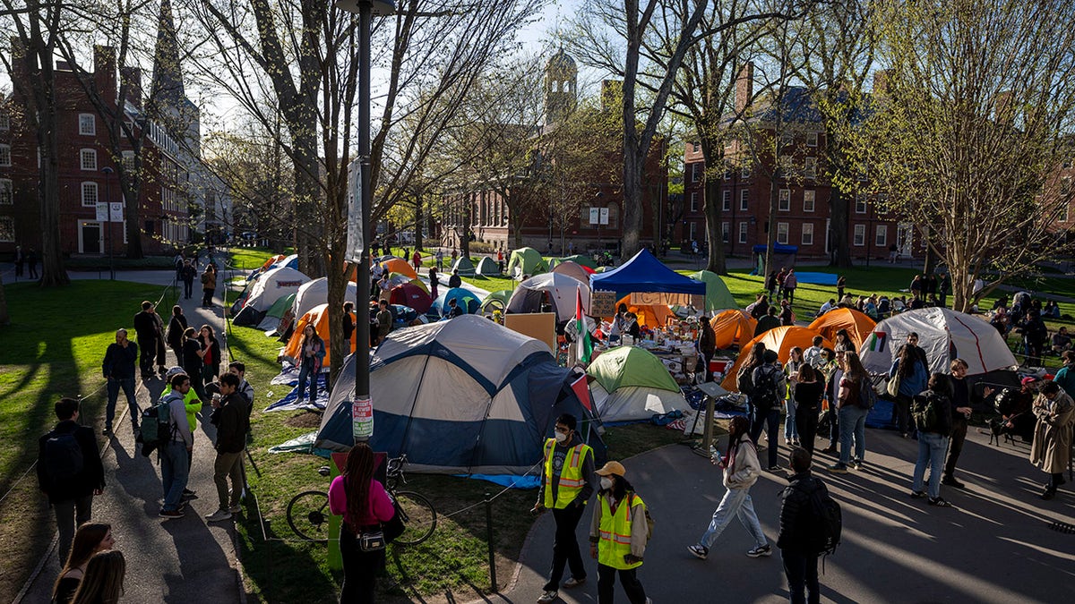 Anti-izraelski kamp na Harvardu
