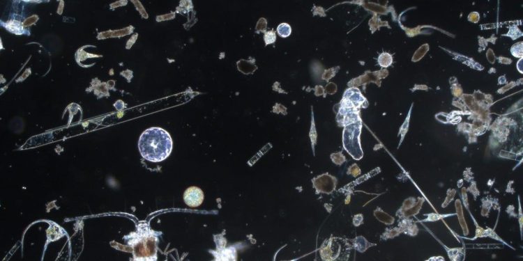 Ako oni ne mogu svoju funkciju obavljati pravilno, posljedice na živi svijet mogle bi biti dramatične!