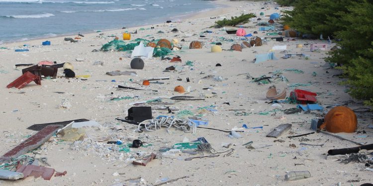 Australija vidi gotovo 40% pad plastičnog zagađenja duž glavnih gradskih obala