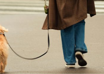 Azil Dubrovnik: “Naše ulice nisu javni zahod! Pokupite iza svog psa, to je osnovna kultura”