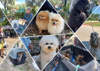 Baš su med! Preslatke šape osvojile Solitudo, ovo je najslađe što ćete danas vidjeti (FOTO)