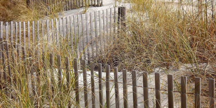 Bitcoin naleti na klaster otpora cijena make-ili prekidača iznad 88 tisuća dolara. Što dalje?