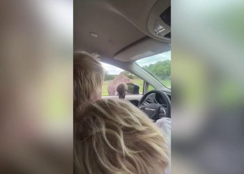 Bivši britanski premijer napao nojeve