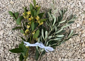 CVJETNICA Nedjelja Muke Gospodnje | Vijesti Hercegovina.Info