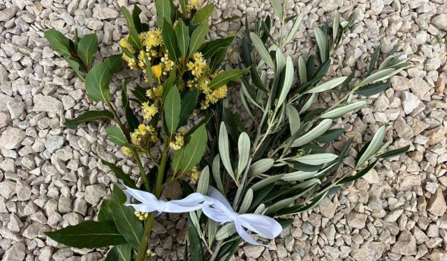 CVJETNICA Nedjelja Muke Gospodnje | Vijesti Hercegovina.Info