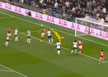 Ciljevi i istaknuti. Pogreška vikara košta Spursi