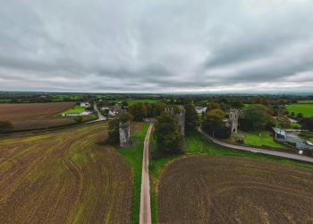 Dalmatinku u Irskoj udario auto, preminula je nakon tri dana, a za vozačem se još uvijek traga!