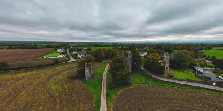 Dalmatinku u Irskoj udario auto, preminula je nakon tri dana, a za vozačem se još uvijek traga!