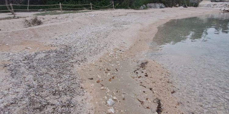 Devastacija plaže na Pagu