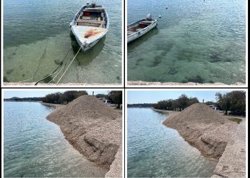 Dohrana plaže ili uništavanje života u moru?