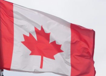 Dovoljno mali da se kreće brzo, dovoljno veliko da bi bilo važno