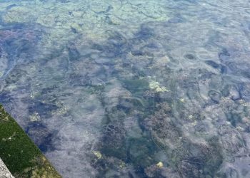 EKOLOŠKA KATASTROFA NA HVARU Javila nam se INA: "Spremnik iz kojeg je došlo do istjecanja redovito je održavan!"