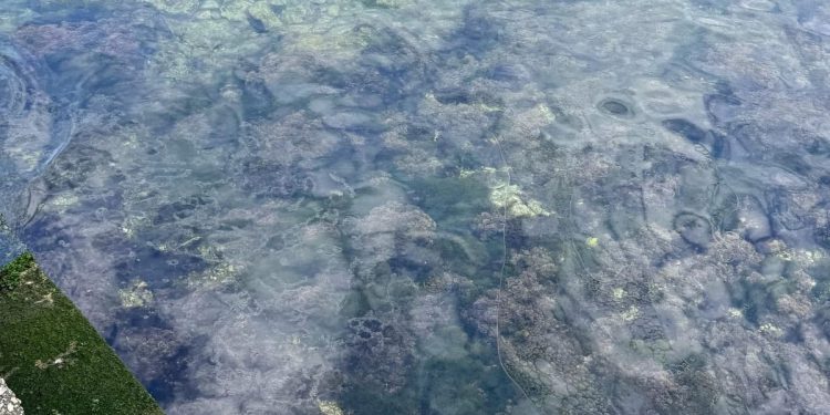 EKOLOŠKA KATASTROFA NA HVARU Javila nam se INA: "Spremnik iz kojeg je došlo do istjecanja redovito je održavan!"