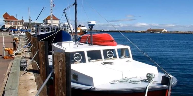 EKONOMSKI SRAZ Trump uveo carine svijetu, najviše ovom otočju!