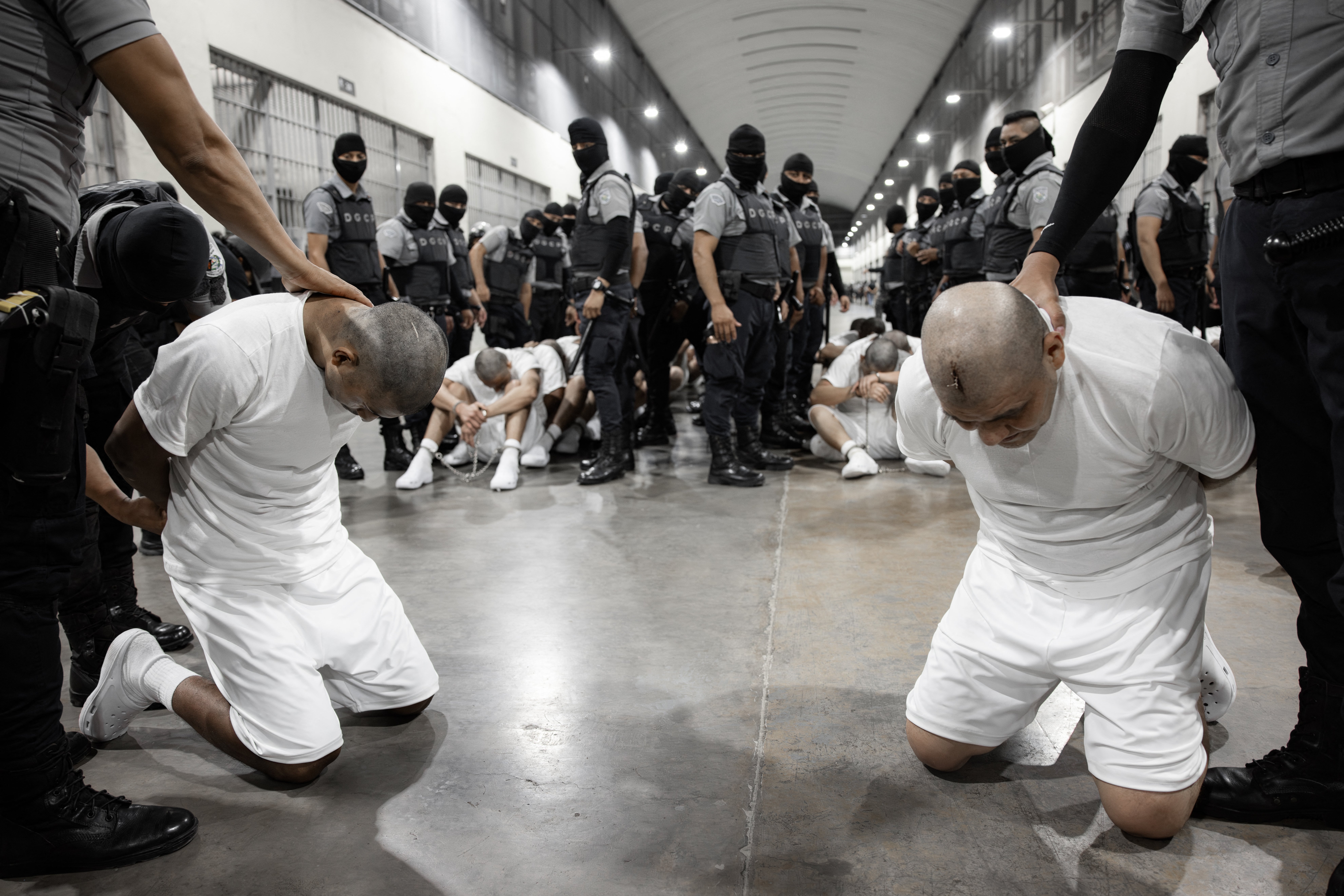 Ova slika priručnika objavljena 16. ožujka 2025. godine od strane El Salvador's Presidence Press Office prikazuje dolazak ledenih deportiraca iz Sjedinjenih Država