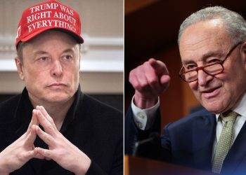 Elon Musk sugerira da Schumer profitira od vladine prijevare