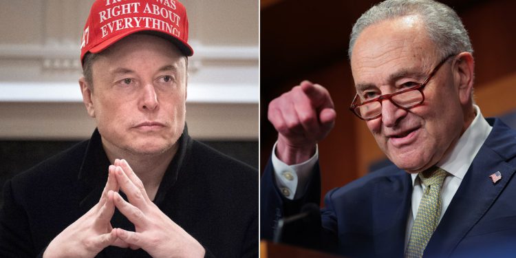 Elon Musk sugerira da Schumer profitira od vladine prijevare