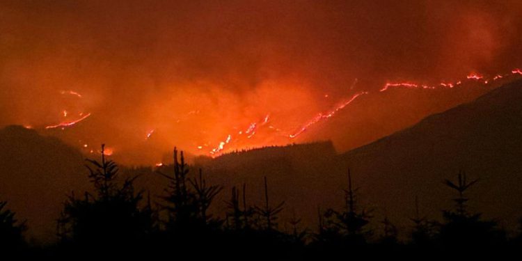 Europa rekord najtopliji ožujak ikad