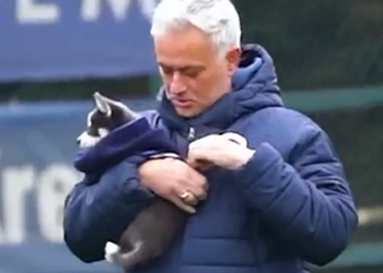 Fenerbahce, Mourinho se pojavljuje s štene