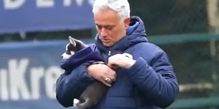 Fenerbahce, Mourinho se pojavljuje s štene