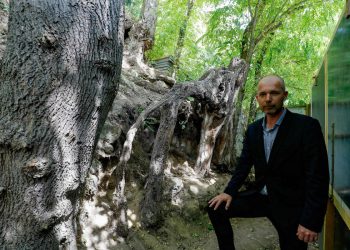 Francuski gradonačelnik nastoji uhvatiti scenu ikoničnog slikanja Van Gogh -a iz vrta seljana iz vrta Villagers