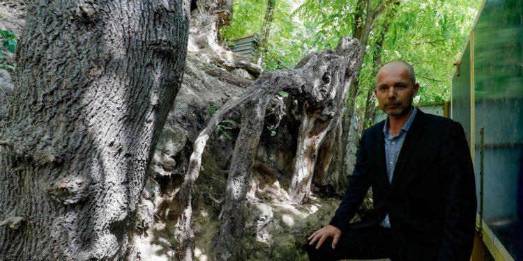 Francuski gradonačelnik nastoji uhvatiti scenu ikoničnog slikanja Van Gogh -a iz vrta seljana iz vrta Villagers