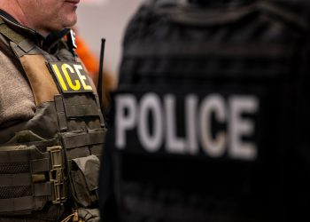 Imigracijski dužnosnici, Doge traže podatke u akciji o ilegalnoj imigraciji i otpadu