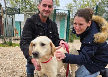 Iskrcana na Bistrini: Aura je u Azilu Dubrovnik završila nakon što su je djelatnici na granici nekoliko dana hranili, a sada je u toplom domu