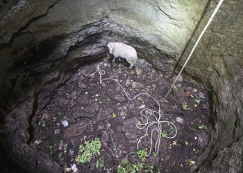 Janje na Braču završilo u jami, akciju spašavanja odradio HGSS