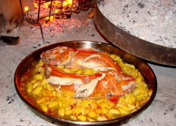 KOKOT ISPOD PEKE Jednostavni domaći recepti