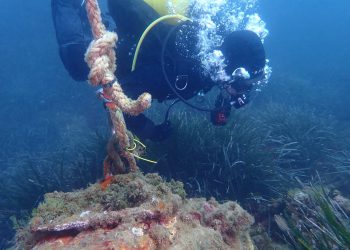 Kad bismo ovako nešto primijenili kod nas, u Jadranu, sigurno bismo pridonijeli zaštiti bioraznolikosi!