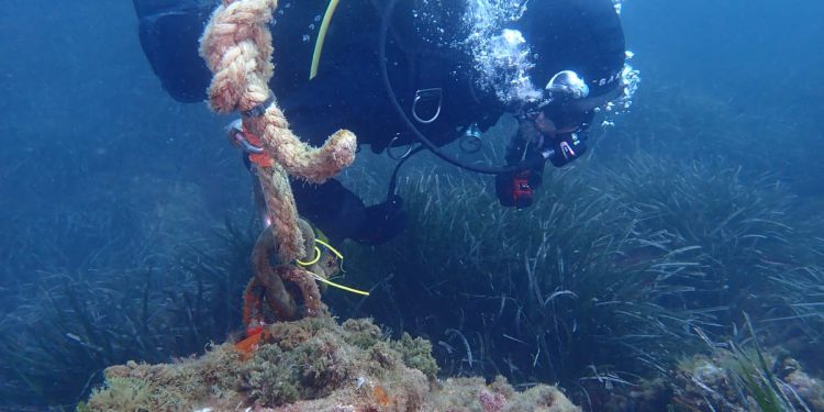 Kad bismo ovako nešto primijenili kod nas, u Jadranu, sigurno bismo pridonijeli zaštiti bioraznolikosi!