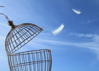 Kako BTC oči 100.000 dolara, Shib se izbija iz YTD -a, a Doge vidi nakupljanje oko 18 centi