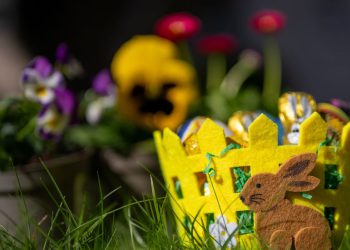 Kijev otvara LGBT filmski festival na Veliki petak – RT Rusija i bivši Sovjetski Savez