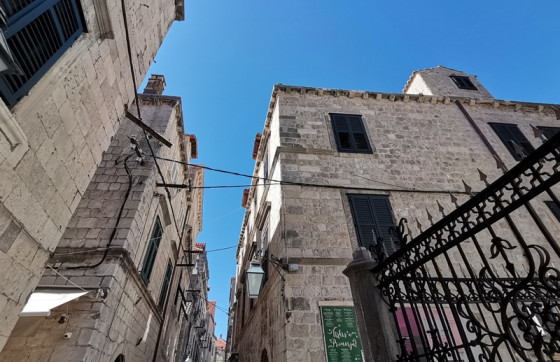 Knezovi sutra bez struje – Dubrovački dnevnik