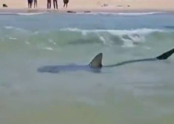 Ljudi su s obale mogli samo gledati kako ga povlači dolje!