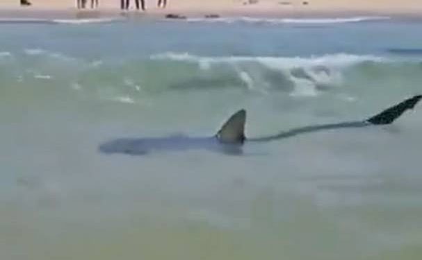 Ljudi su s obale mogli samo gledati kako ga povlači dolje!