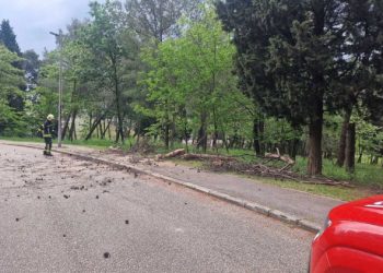 MOSTAR Stablo palo na cestu kod mrtvačnice, intervenirali vatrogasci