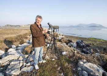 Mala ptica grabljivica ove godine ranije budi Dubrovčane, a ornitolog Bariša Ilić zna koliko je korisna i ugrožena