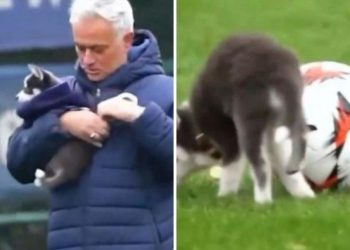 Mourinho donosi štene na teren: pokušajte ga igrati, ali …