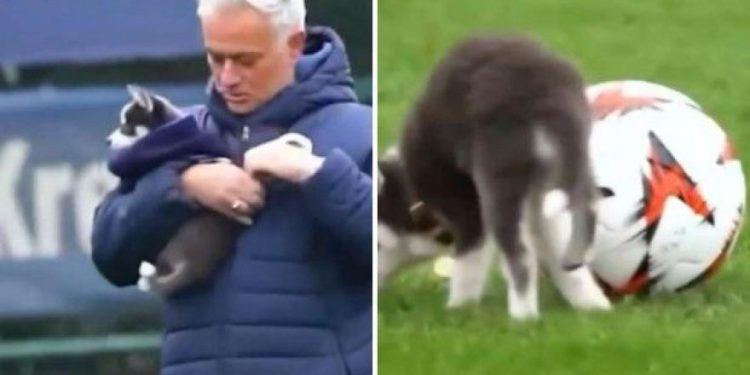 Mourinho donosi štene na teren: pokušajte ga igrati, ali …